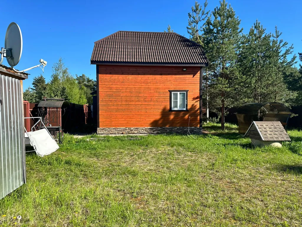 Dream Forest & River PZ