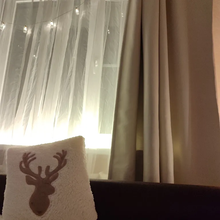 1-комнатная квартира с прекрасным видом