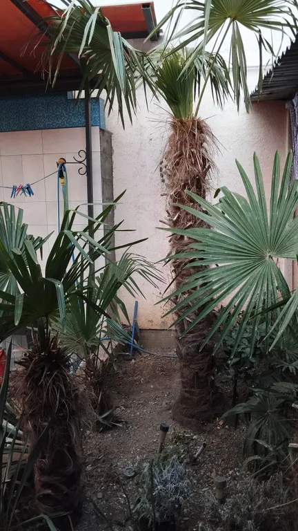 Уютная двухуровневая квартира с обеденной зоной во дворе