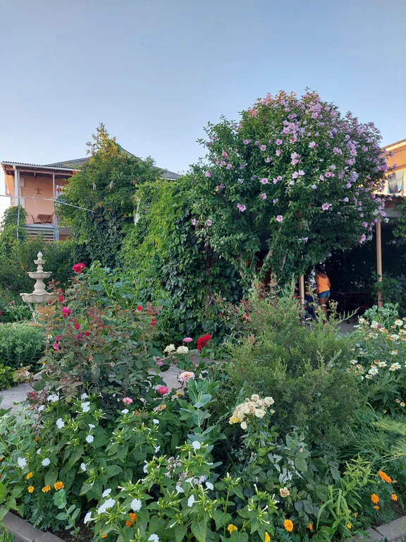 Стандартный номер на троих