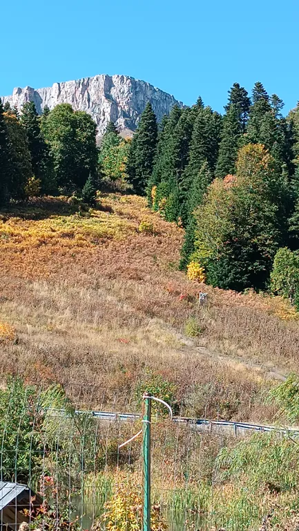 Большая Монгольская юрта