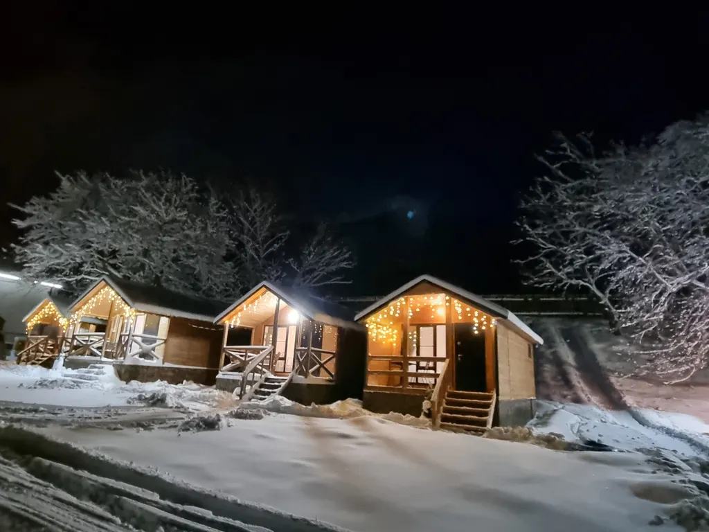 Уютный коттедж в хвойном лесу