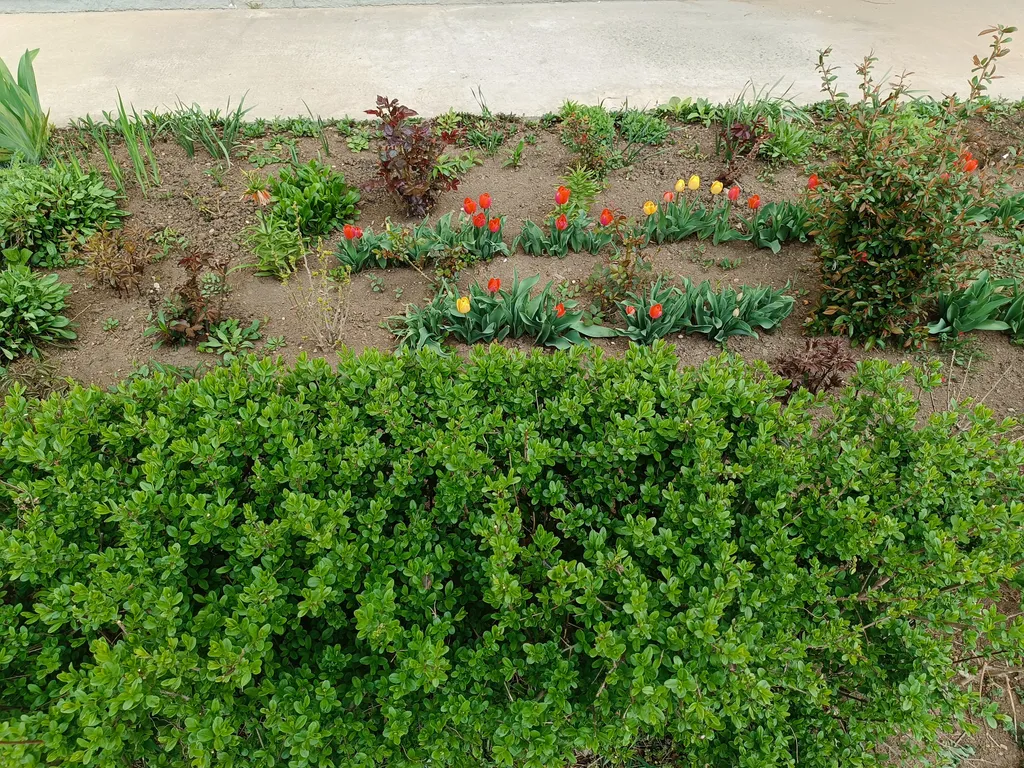 Уютная квартира в Горгиппии