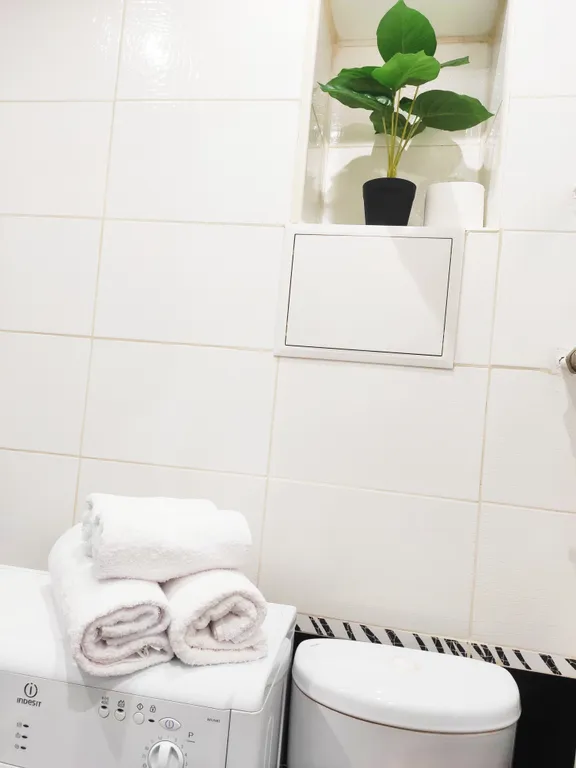 Квартира 1-комнатная в историческом центре рядом с отелем Марриотт — Воронеж