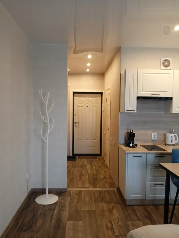 Уютная студия в ЖК Алые паруса с панорамным видом на реку Волхов