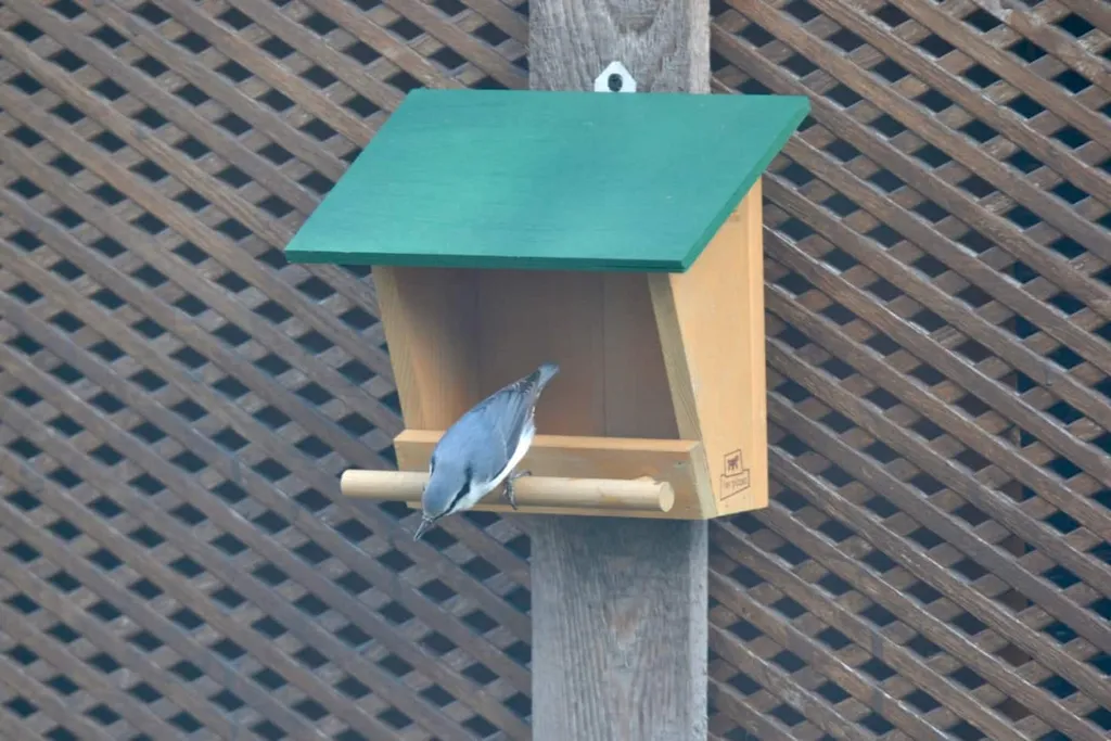 Коттедж Уютный домик для отдыха в деревне — Голицыно