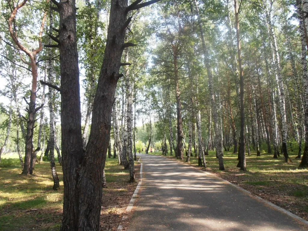 Апартаменты в сосновой роще