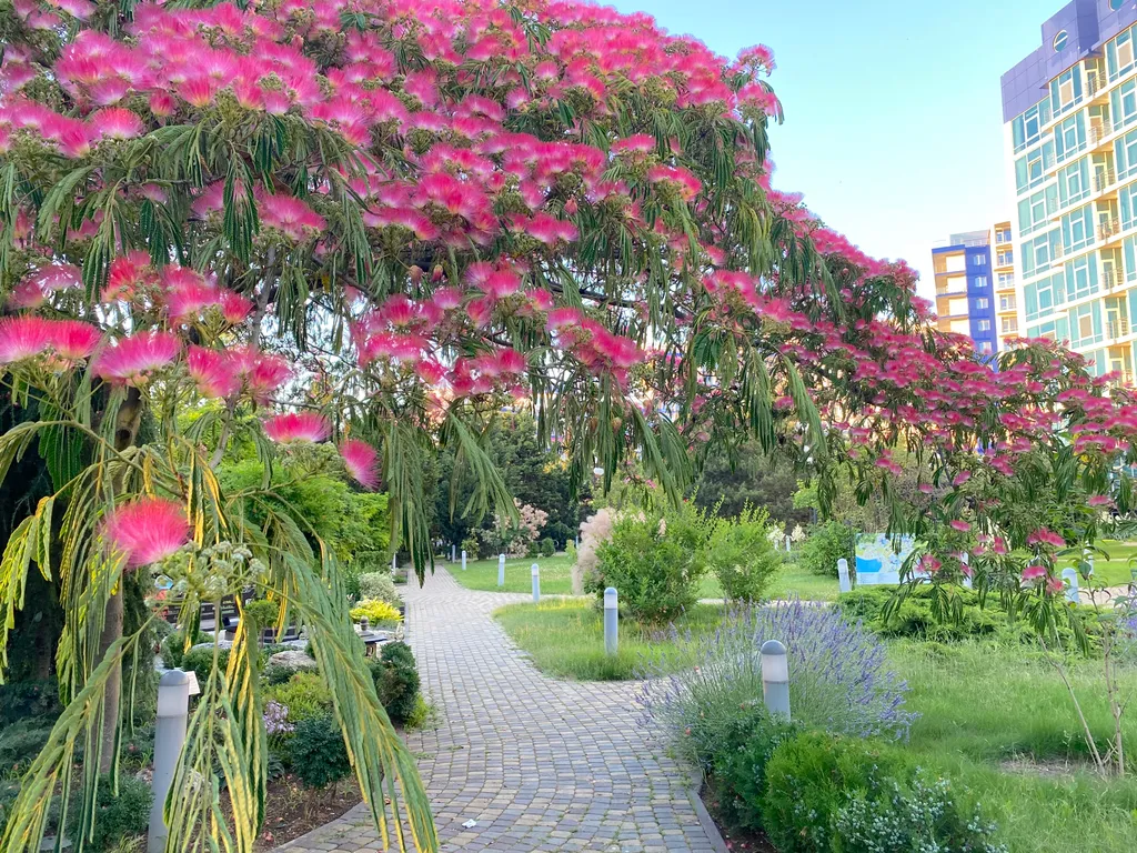 Апартаменты Аквамарин с видом на море N207