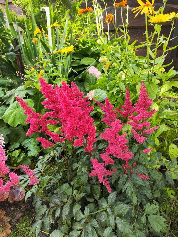 Дом для отдыха Майя возле моря