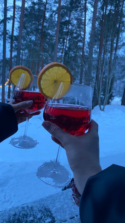 Стильный дом на берегу Ладожского озера с панорамным видом