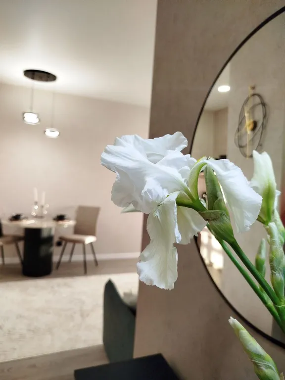 Локо-апартаменты