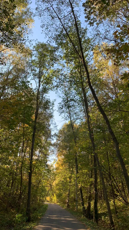 Ивановские дачи