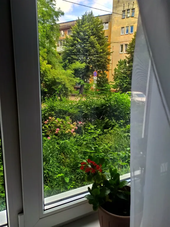 Квартира Семейная квартира в центре — Калининград