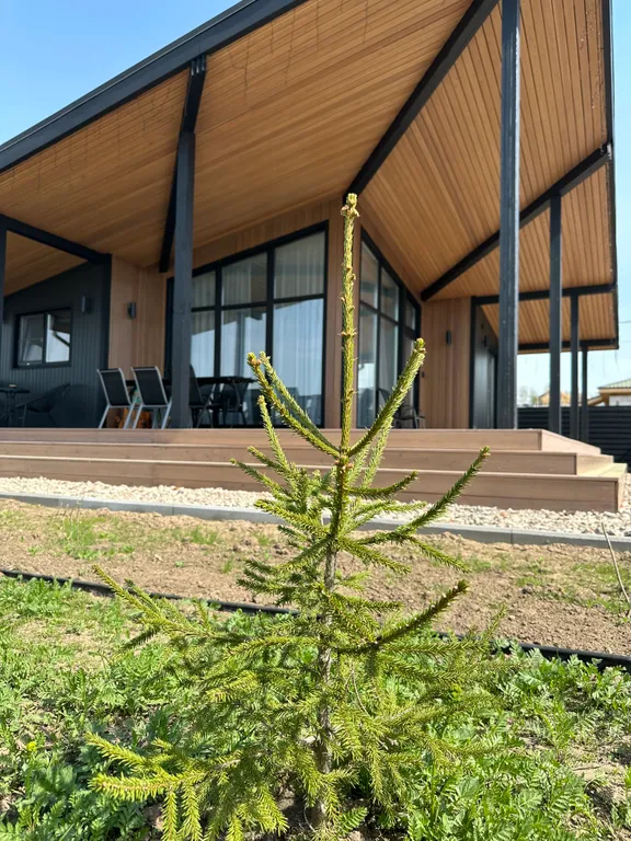 Коттедж Уютный дом Pahrafamilyvillage в 20 минутах от Москвы — Зеленая Слобода