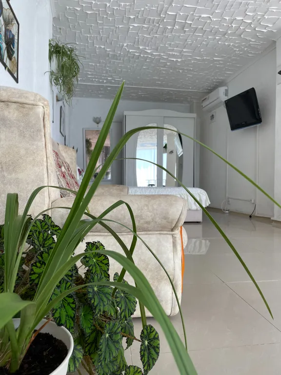 Апартаменты с одной спальней и террасой