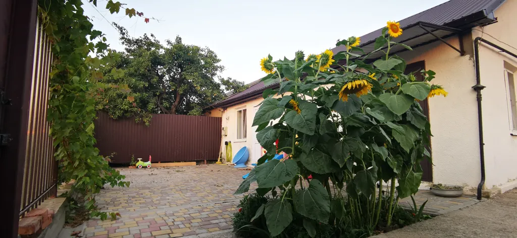 Уютная комната 1 в частном доме у моря, на 1м этаже, удобства в номере