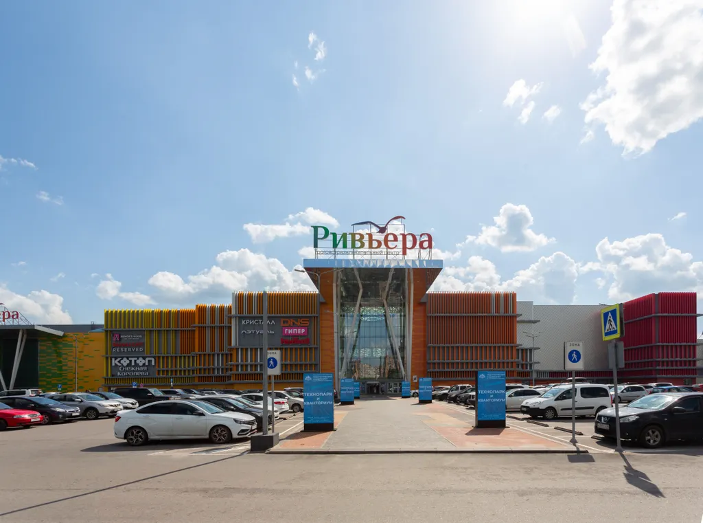 Тень сакуры