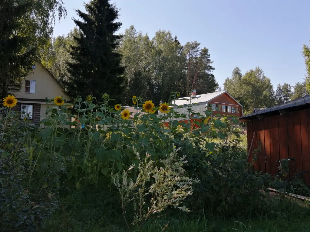 Дом у озера Селигер