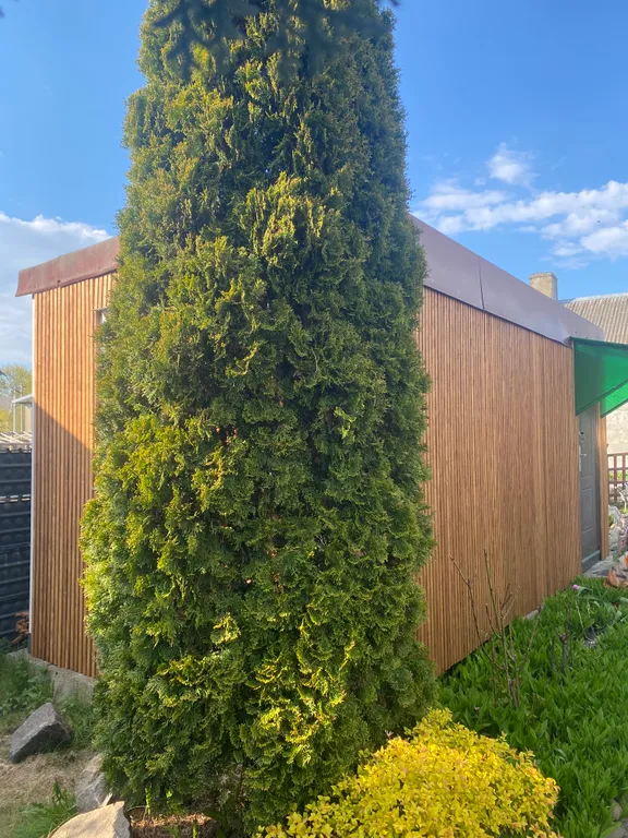 Домики для отдыха на Балтийской косе, рядом с морем