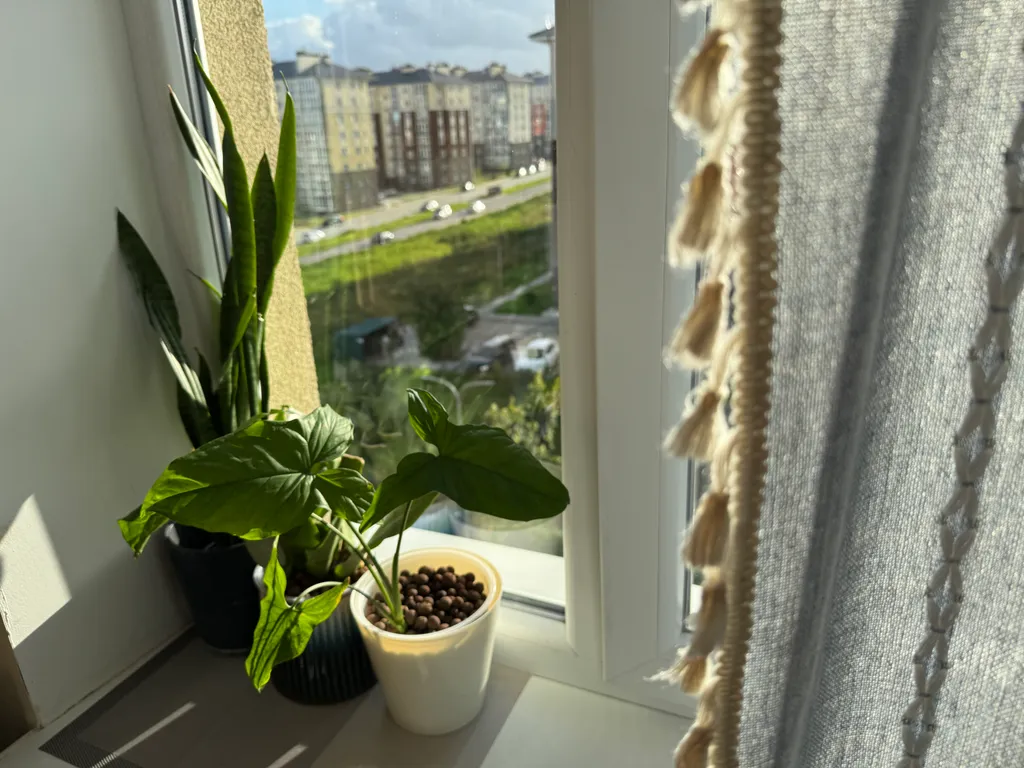 Уютная квартира в тихом районе Светлогорска