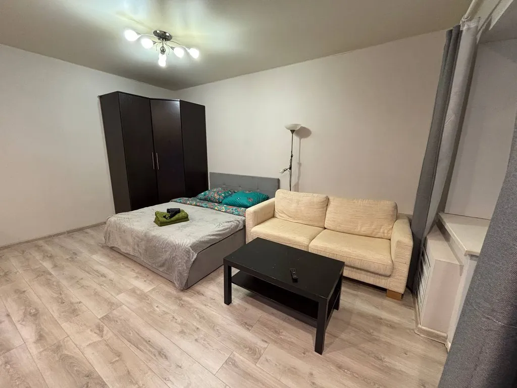 1-комнатная квартира на Тополинке