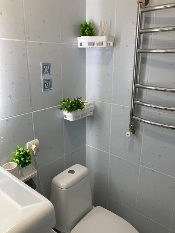 Квартира в хвойном лесу