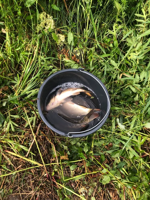 Дом под Боровском