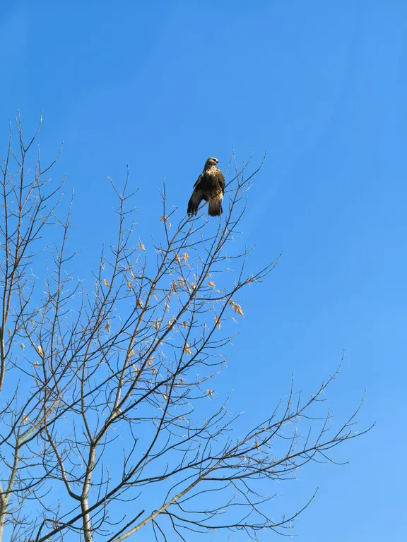 Дом с баней на берегу залива реки Чусовая База Отдыха