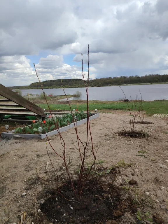 Уютный дом с баней и бассейном на берегу реки Волхов