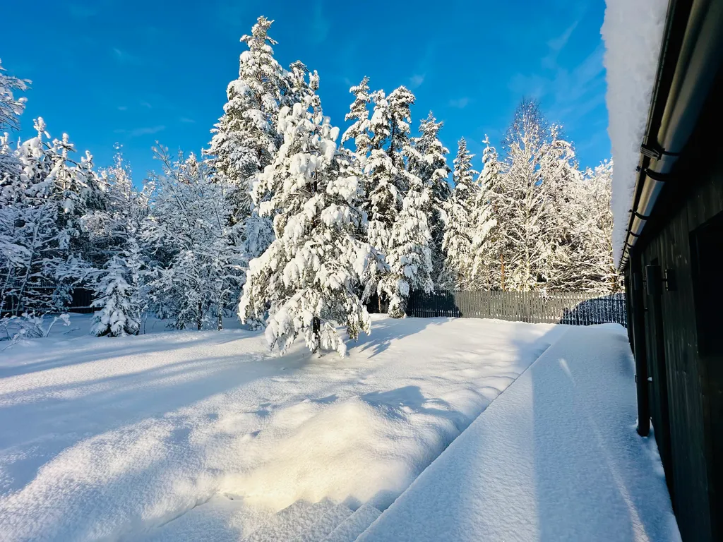 Рай интроверта