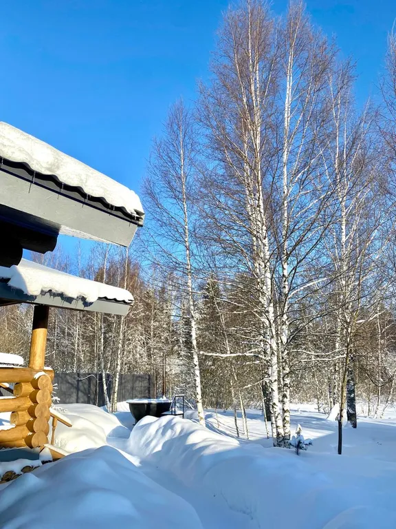 Домик с видом на лес