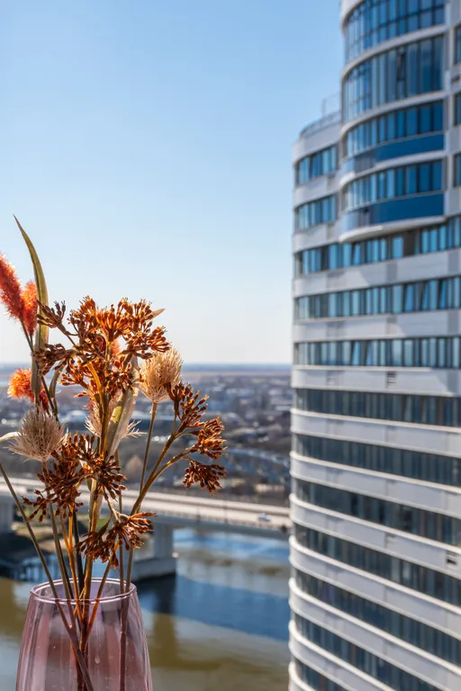 Комфорт и Дон