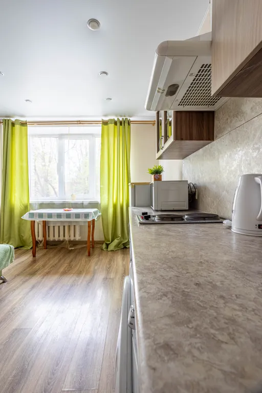 Большая однокомнатная квартира на Красной