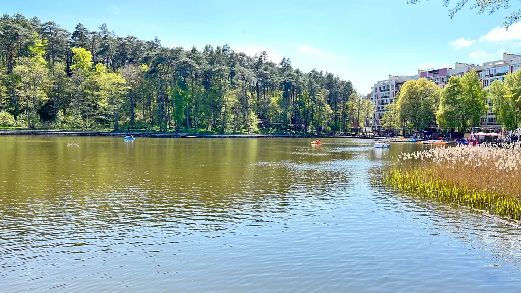 Квартира Уютная квартира-студия — Светлогорск