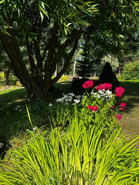 Дом на берегу озера