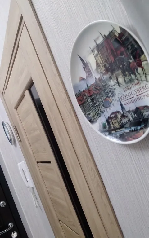 Квартира 1-комнатная Квартира — Светлогорск