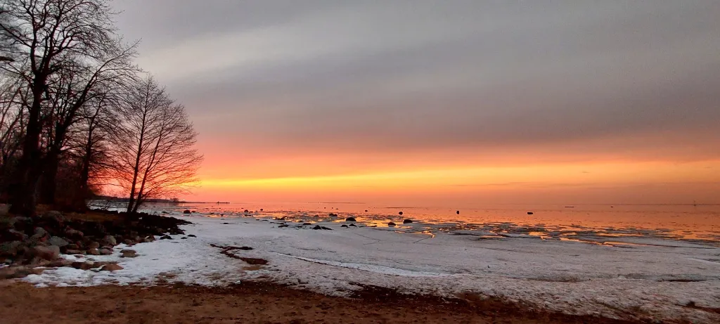 Видовая квартира напротив фонтанов Музея-заповедника Петергоф