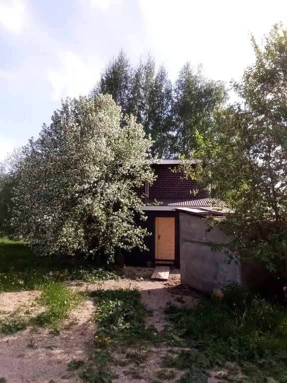 Домик в деревне