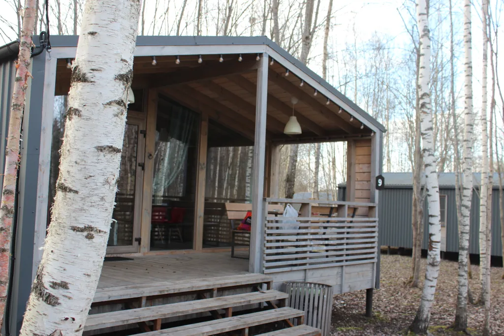 Дом в березовой роще