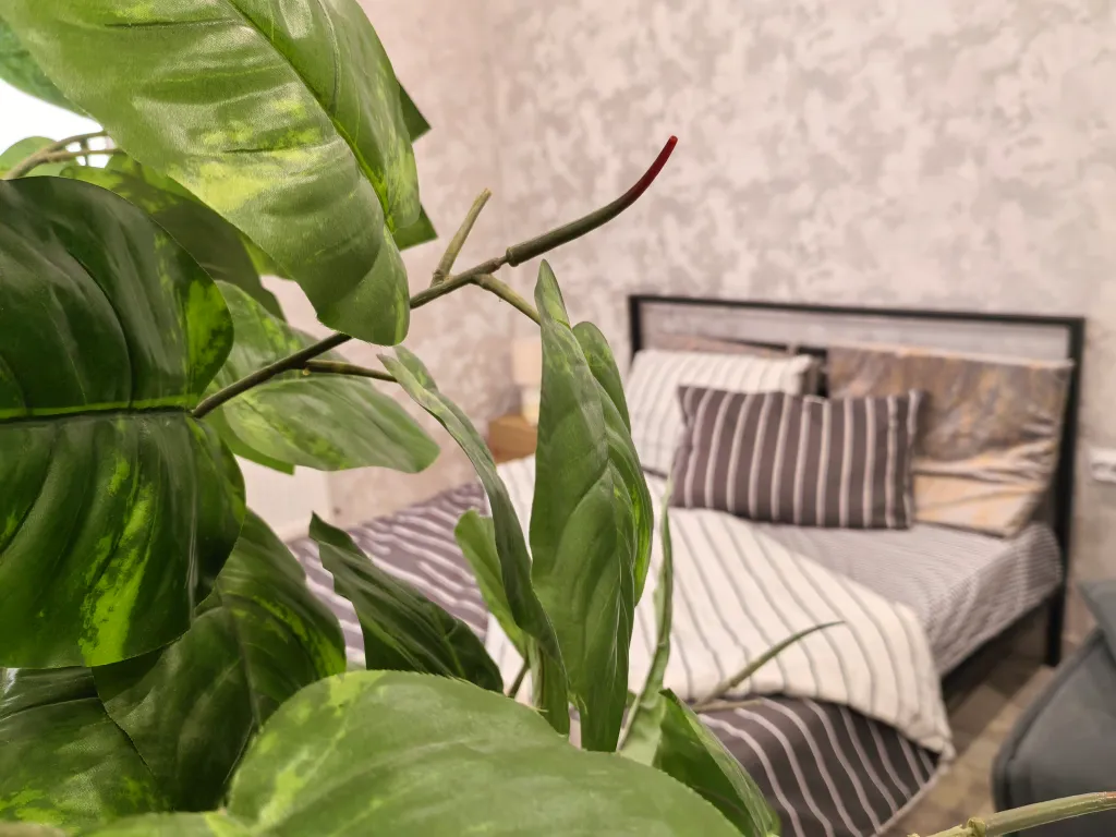 Квартира Квартира Студия Семейная — Краснодар