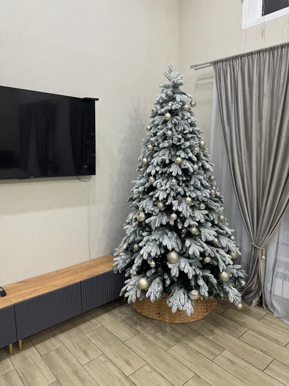 Дом на берегу реки Солоница