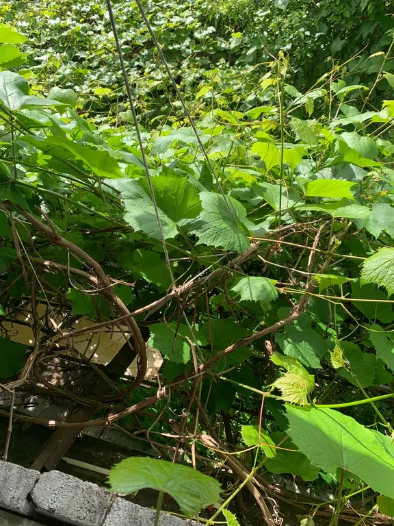 Большой дом с бассейном и диско, в ретро стиле около аэропорта Минск