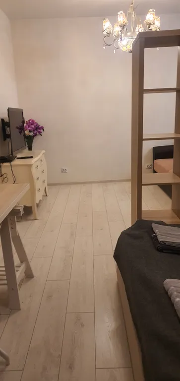 Квартира 1-комнатная Квартира — Пушкин