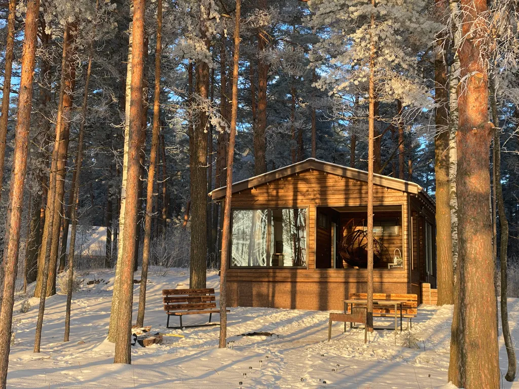 Панорамный домик в сосновом лесу на берегу Волги
