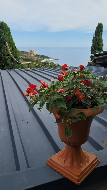 Аппартамент с видом на море у Ворнцовского парка