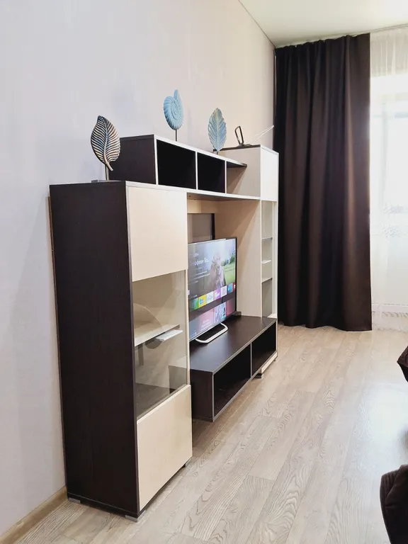 Просторная однокомнатная квартира