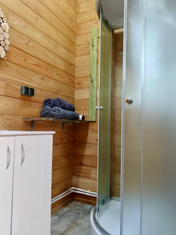 Дом морошка