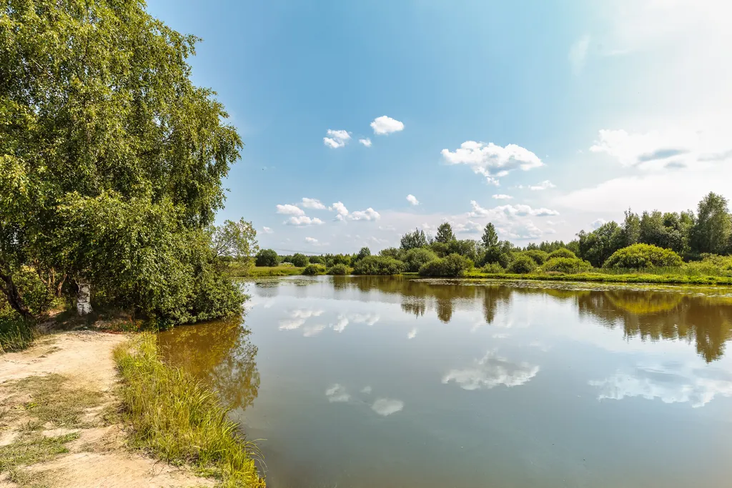 Оригинальный ДубльДом Каштан