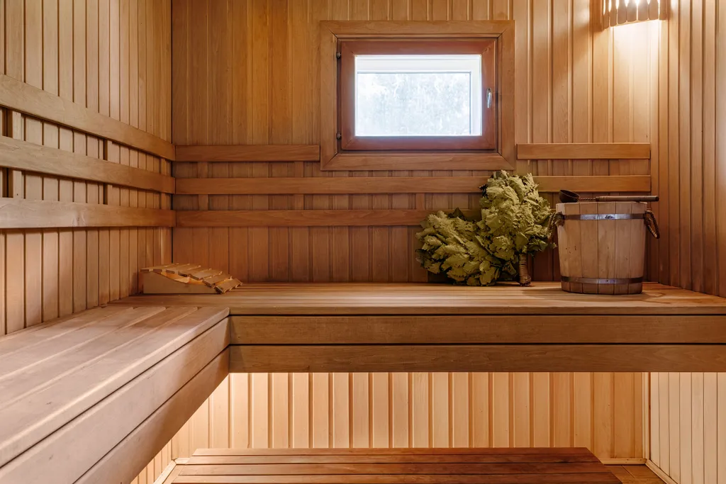 Дом с русской баней и горячей купелью