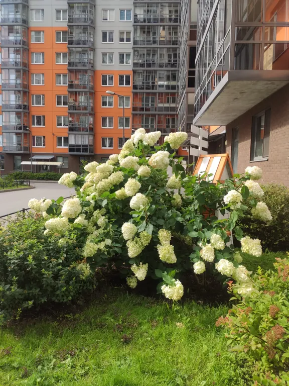 Квартира рядом с метро